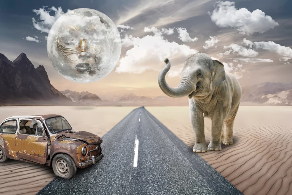 Desert01 by Rafal Kulik — canvas wall art