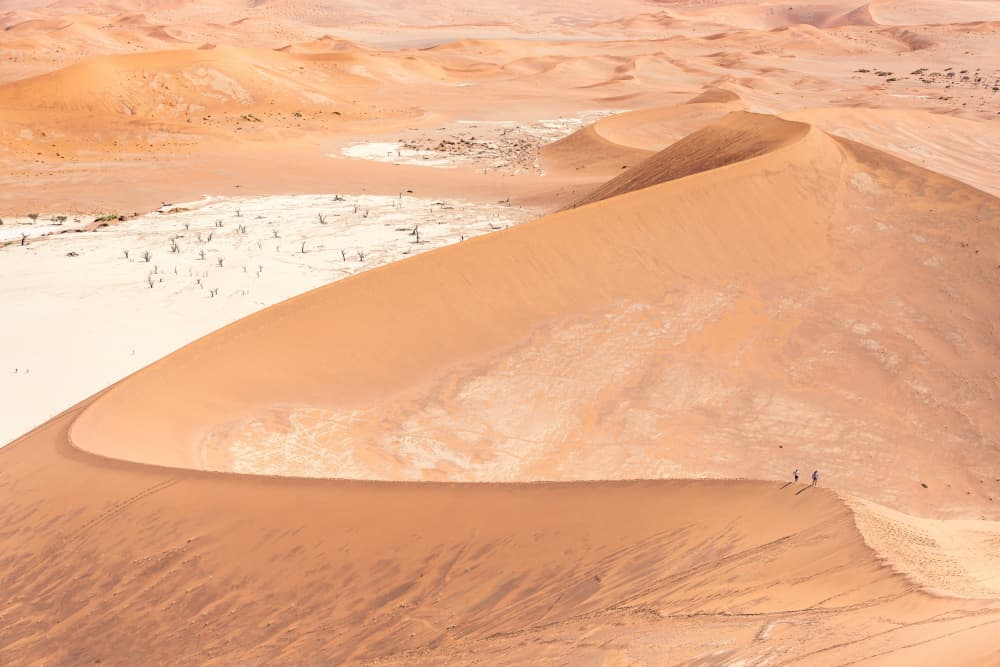 Scaling Desert Dunes by Marco Tagliarino — canvas wall art