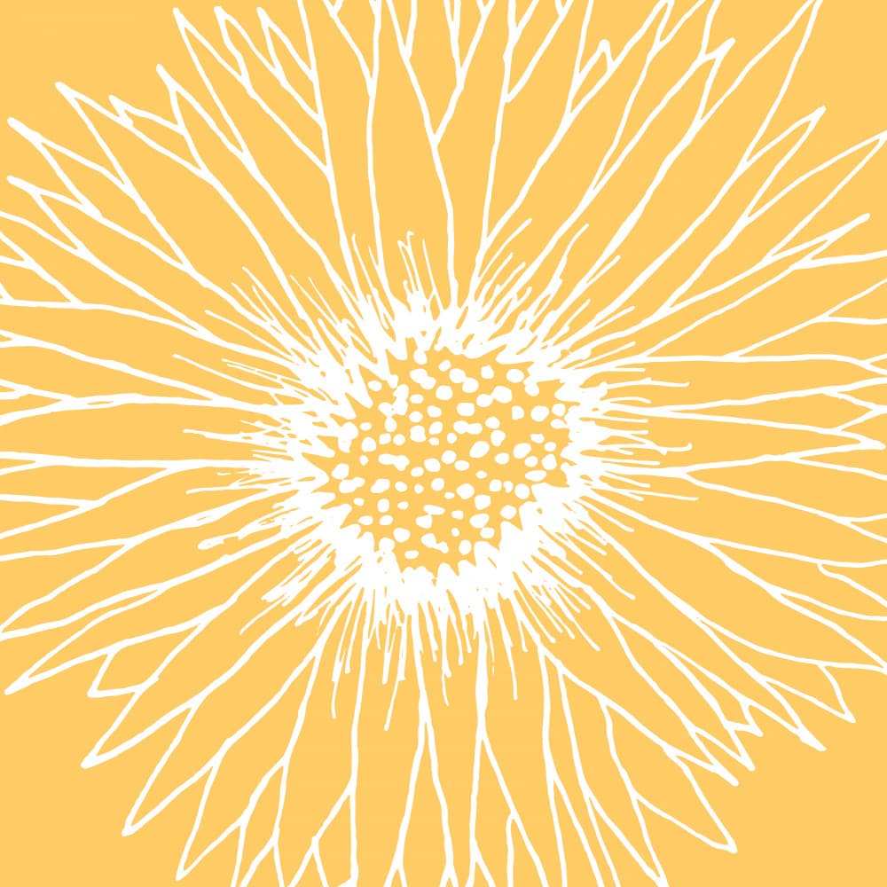 Line Art Sunflower by Kristian Gallagher — canvas wall art