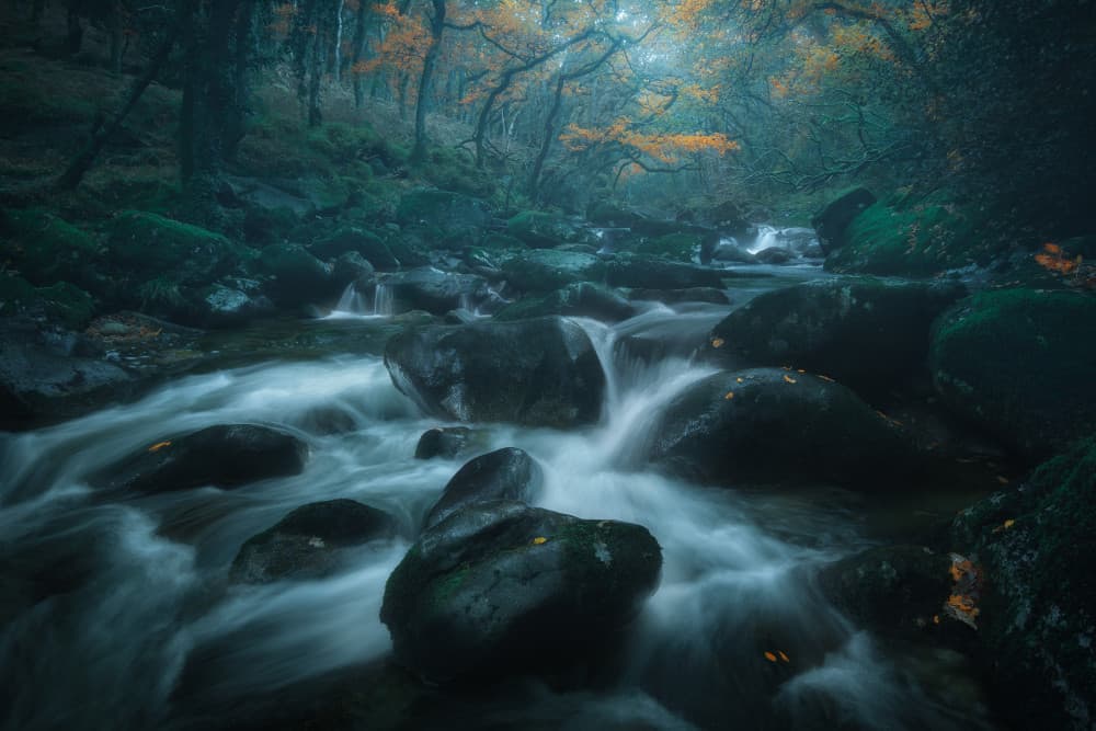 Misty Forest River by Milos Lach — canvas wall art