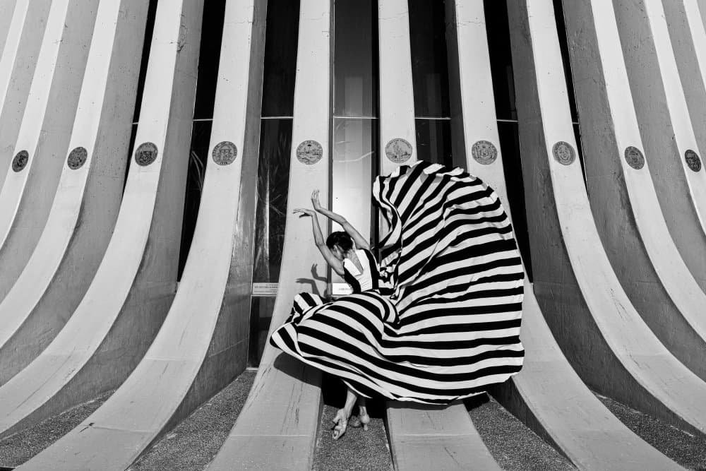 Graceful Striped Dancer by Shay Lev Ari — canvas wall art