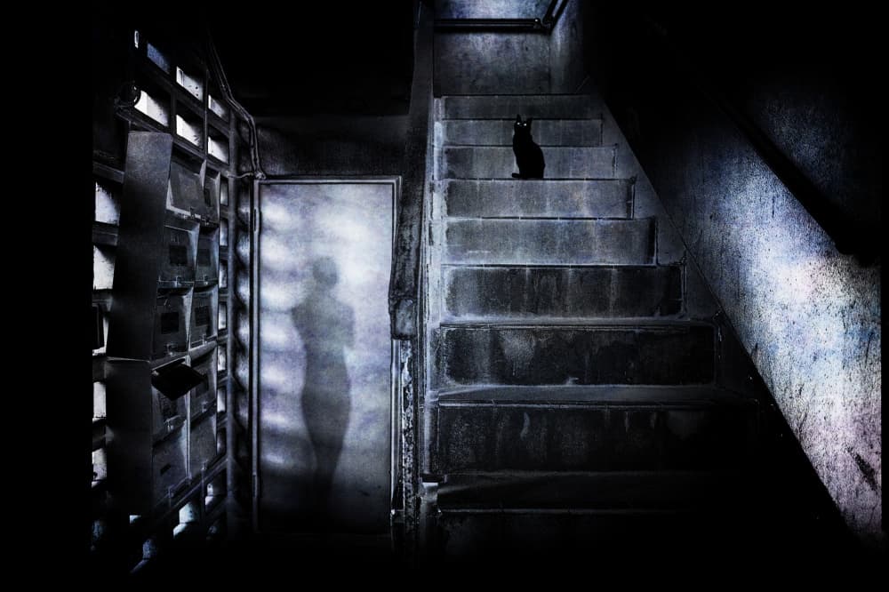 Eerie Stairs Black Cat by Yasutaka Sameshima — canvas wall art