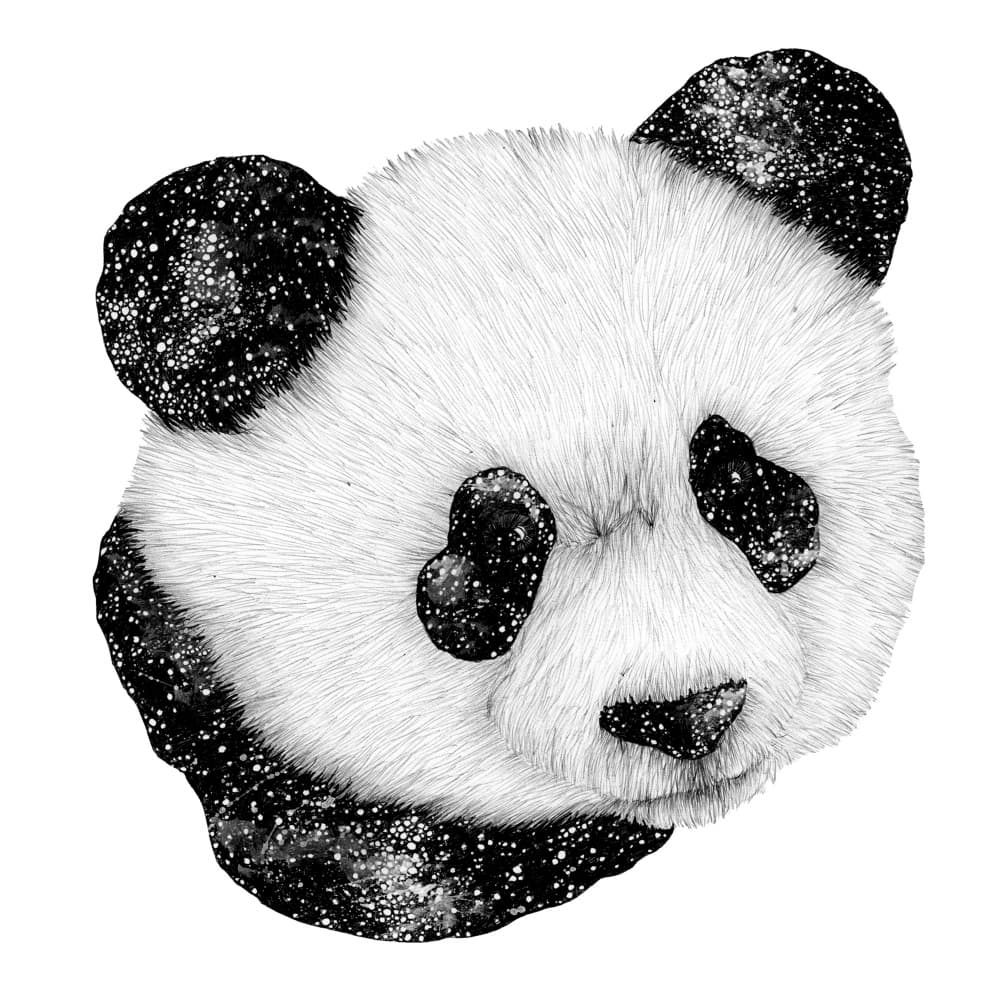 Starry Galaxy Panda by EC Mazur — canvas wall art