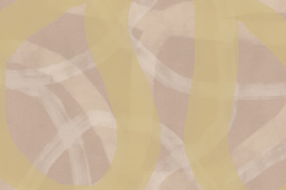 Soft Organic Abstract by Dina Dankers — canvas wall art