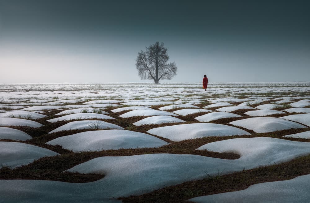 Red Robe Winter Field by SANDEEP MATHUR — canvas wall art