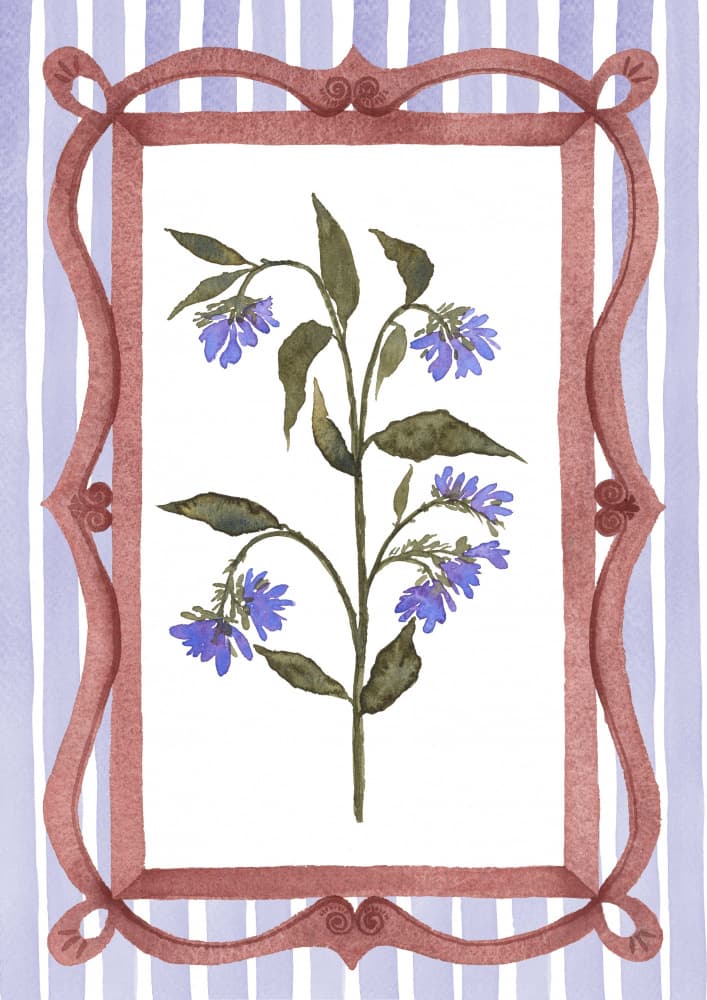 Blue Framed Botanical by Suchi Deb — canvas wall art
