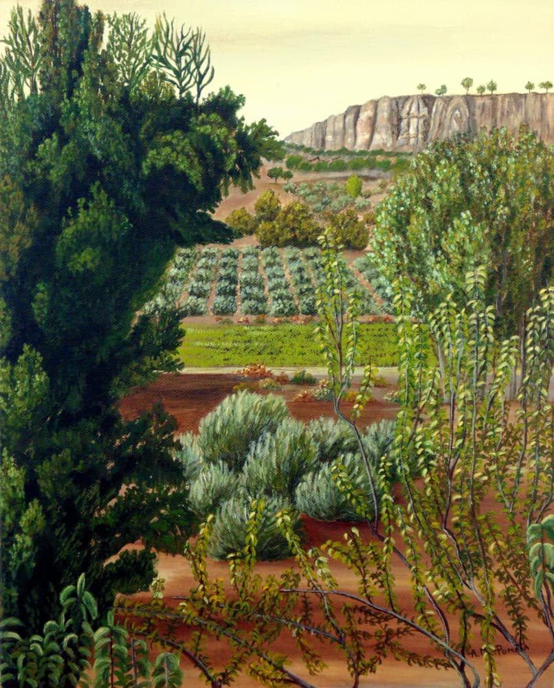 Cultivated Valley Cliff View by Angeles M. Pomata — canvas wall art