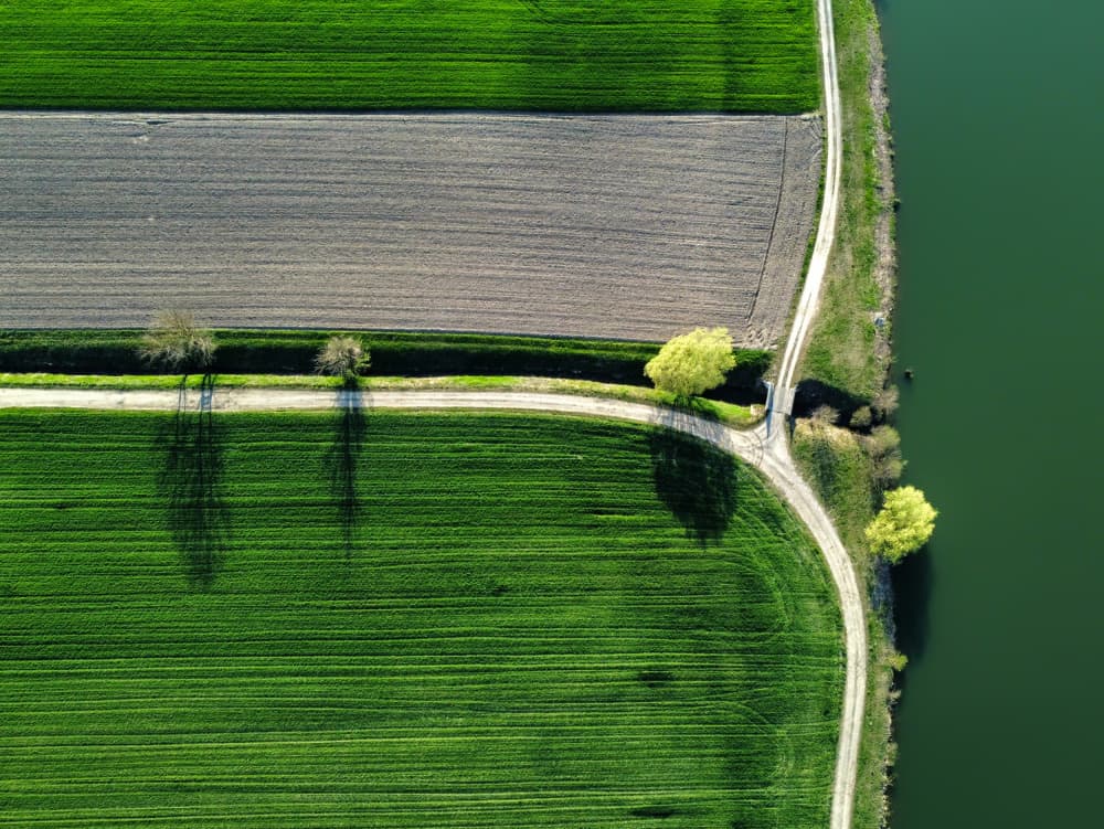 River Path Green Fields by Primož Kožuh — canvas wall art