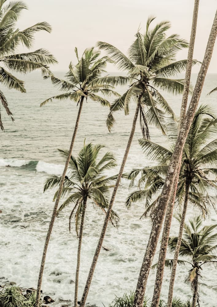 Coastal Serenity by Shot by Clint — canvas wall art