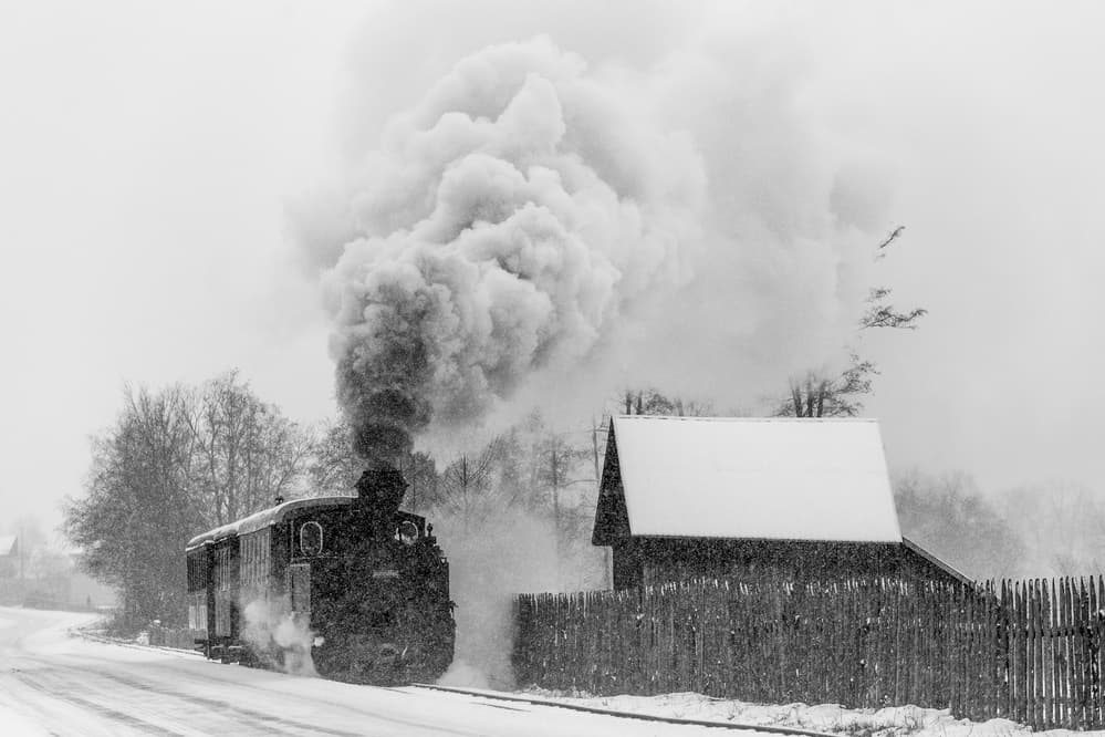 Winter Steam Train by Sveduneac Dorin Lucian — canvas wall art
