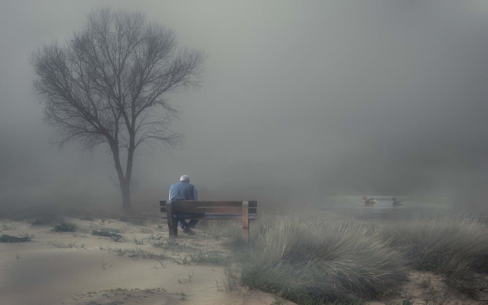 Man on Misty Bench by Charlaine Gerber — canvas wall art