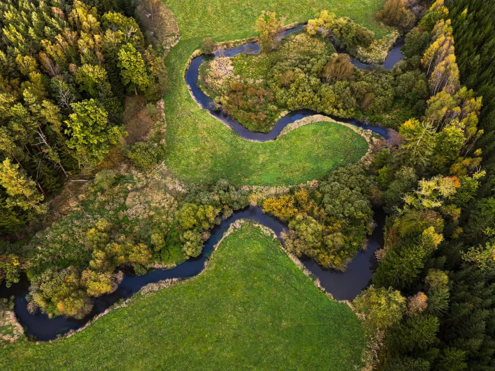 Winding River Through Forest by Ilona Rosenkrancová — canvas wall art