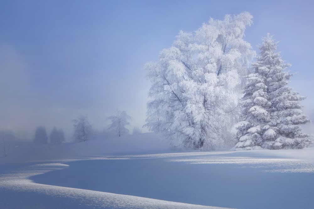 Serene Winter Wonderland by VéroniqueS — canvas wall art
