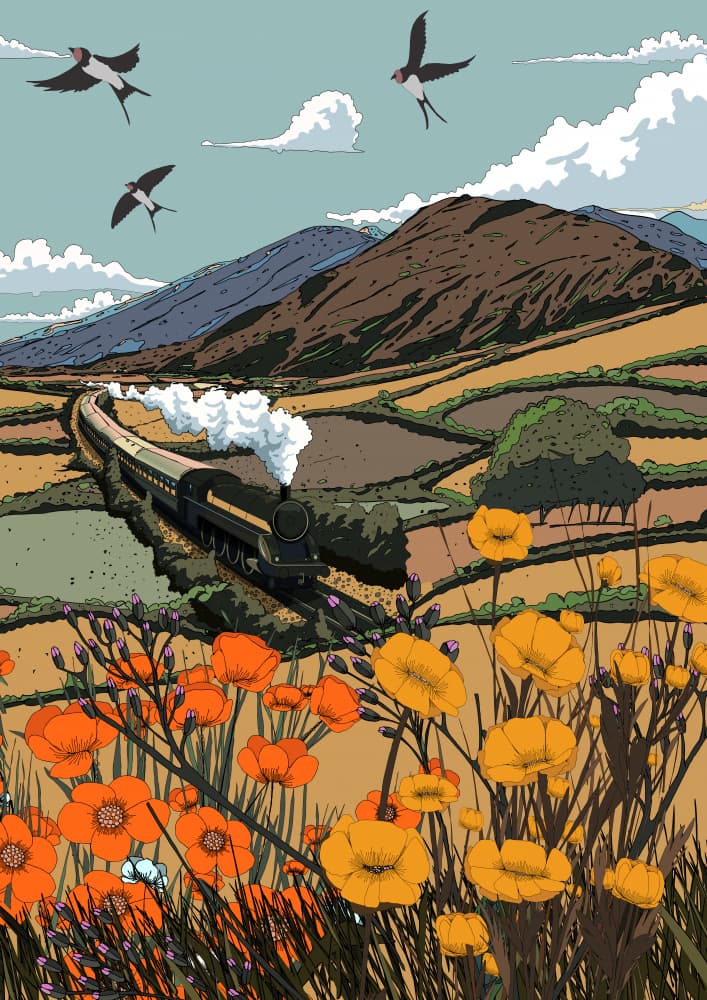Steam Train Through Poppies by Nicholas — canvas wall art