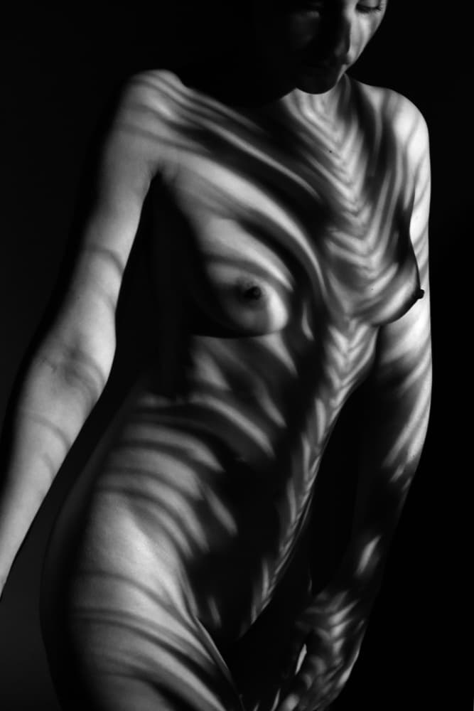 Female Form Palm Shadows by PHILIPPE GODFROID — canvas wall art