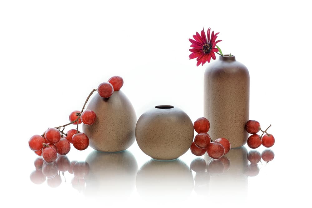 Red Berries Still Life by Lydia Jacobs — canvas wall art