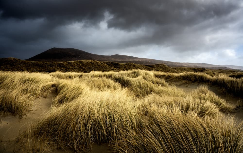 Golden Dunes Under Stormy Sky by Ulrike Eisenmann — canvas wall art