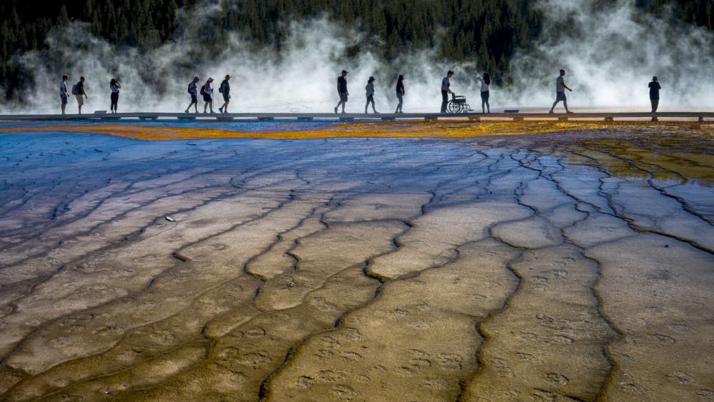 Vibrant Hot Spring Walk by Sonya Liu — canvas wall art