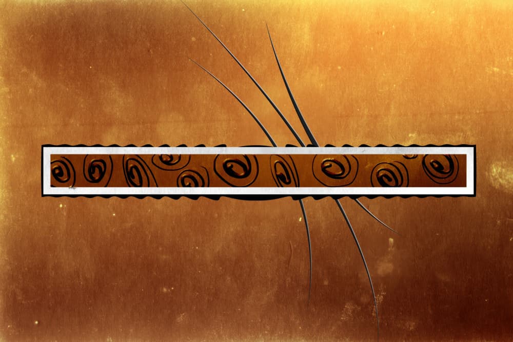 Abstract Golden Spirals by Rafal Kulik — canvas wall art