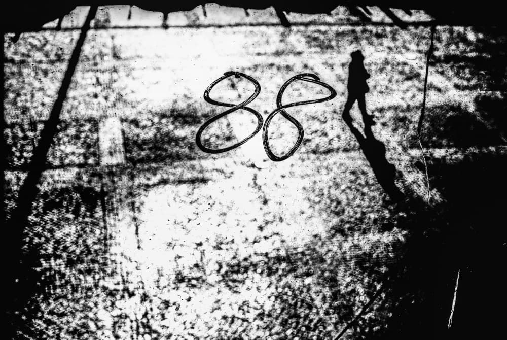 Dark Silhouette Eighty-Eight by Paulo Abrantes — canvas wall art