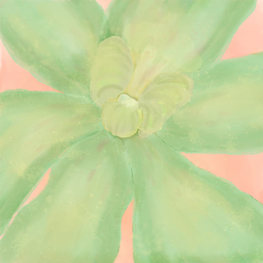 Soft Pastel Succulent by Aliya Putrus — canvas wall art