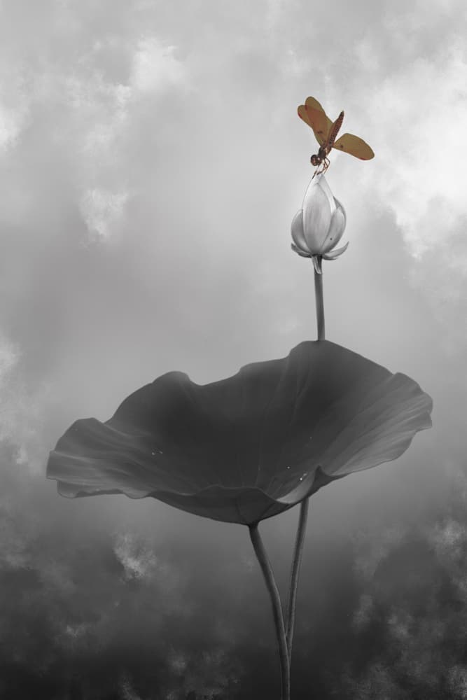 Golden Dragonfly Lotus by Liguang Huang — canvas wall art