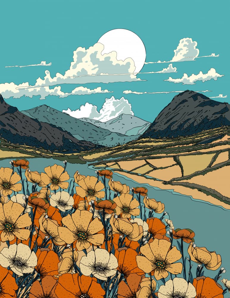 Sunny Mountain Flowers by Nicholas — canvas wall art