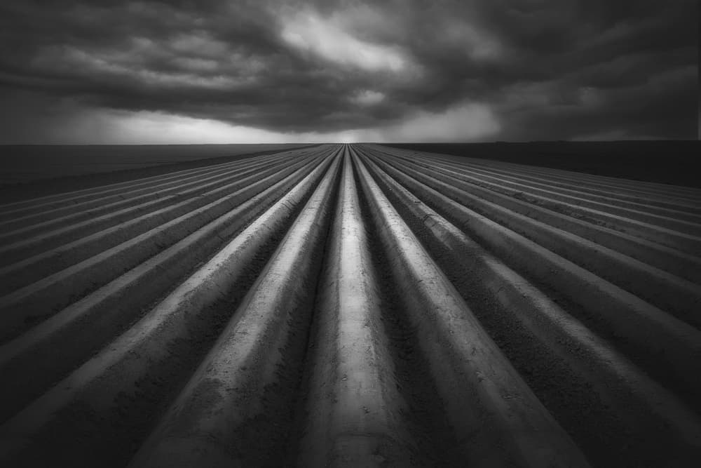 Stormy Field Rows by Marie-anne Stas — canvas wall art