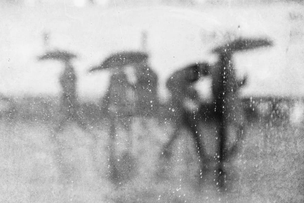 Rainy Day Umbrellas by Adam Dauria ☂ — canvas wall art