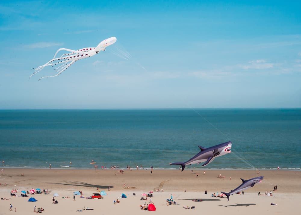 Whimsical Kites Over Beach by Rudy Mareel — canvas wall art