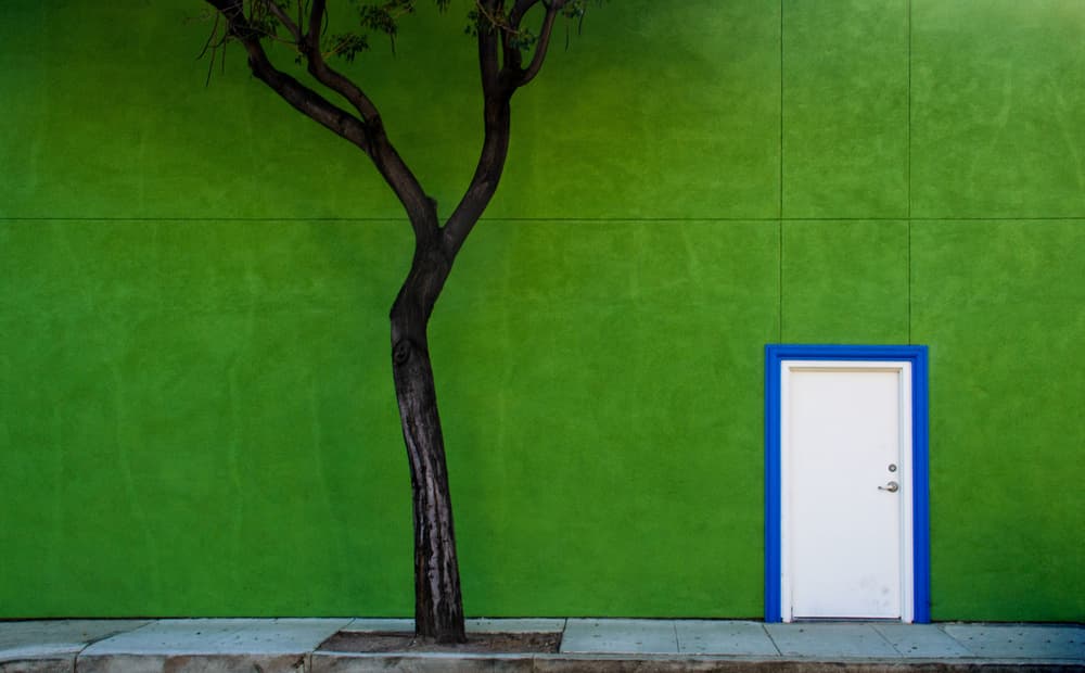 Green Wall Blue Door by Arnon Orbach — canvas wall art