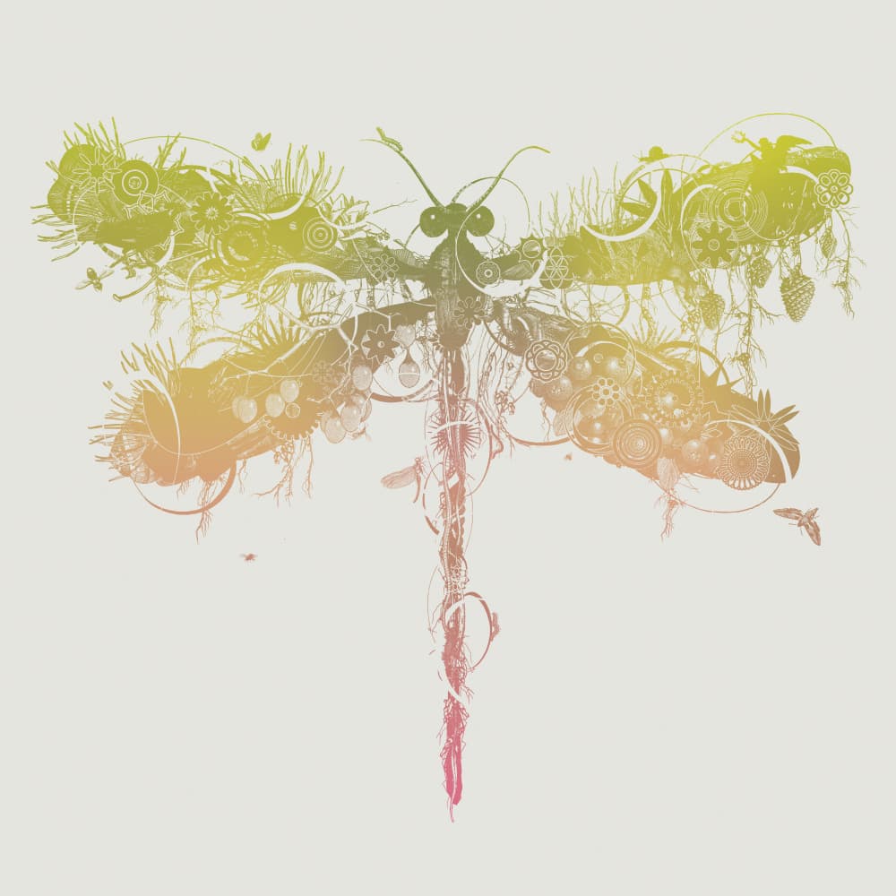 Organic Mechanical Dragonfly by Jaco Putker — canvas wall art