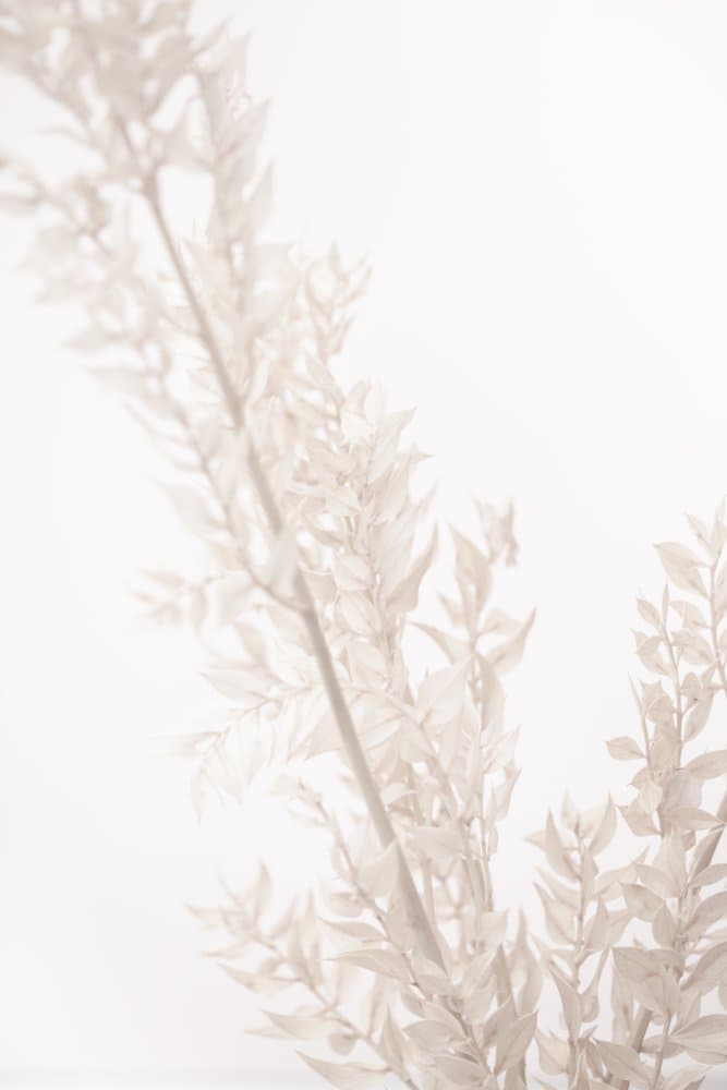 Ethereal Dried Leaves by Pictufy Studio III — canvas wall art