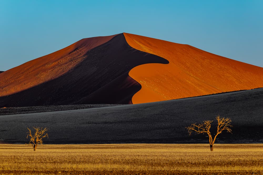 Golden Desert Dune by Siyu_Wei APA — canvas wall art