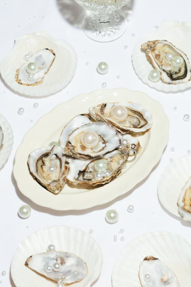 Elegant Oysters and Pearls by Pictufy Studio III — canvas wall art