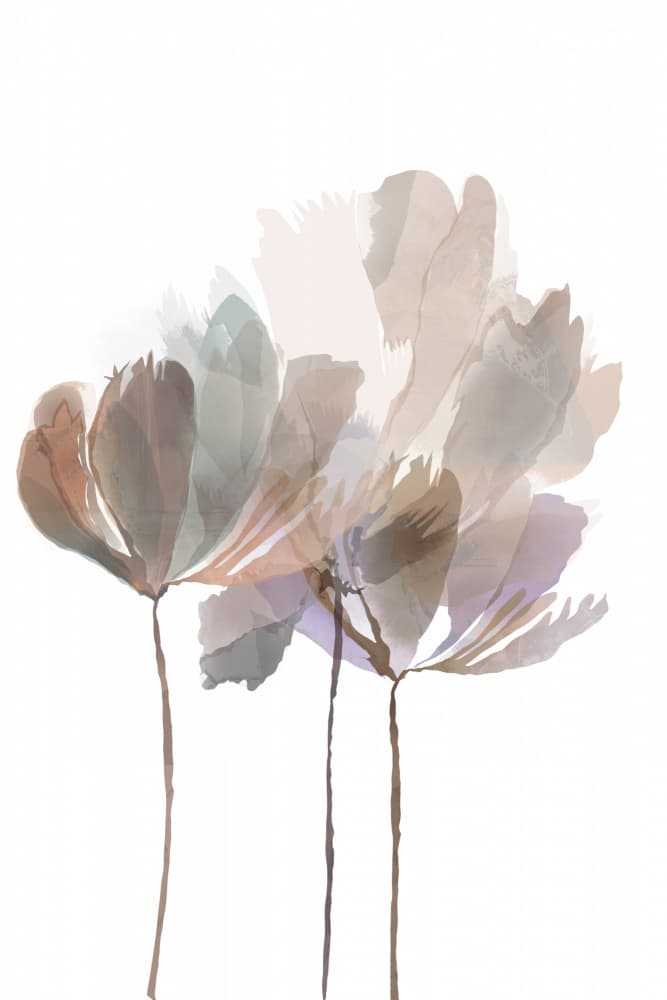 Soft Watercolor Blooms by cartissi — canvas wall art