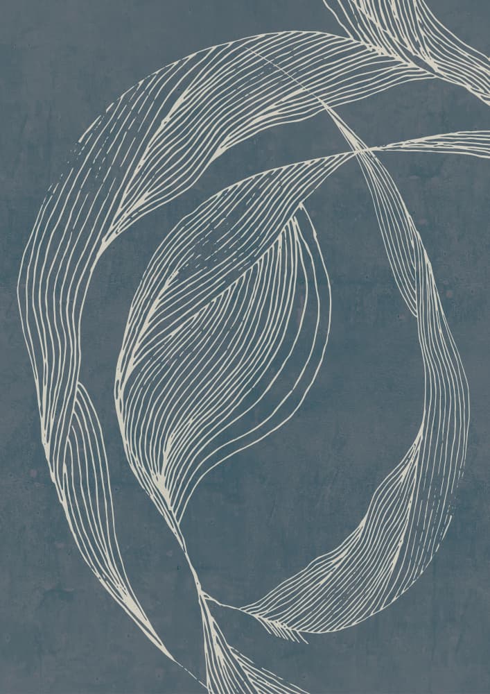 Serene Organic Curves