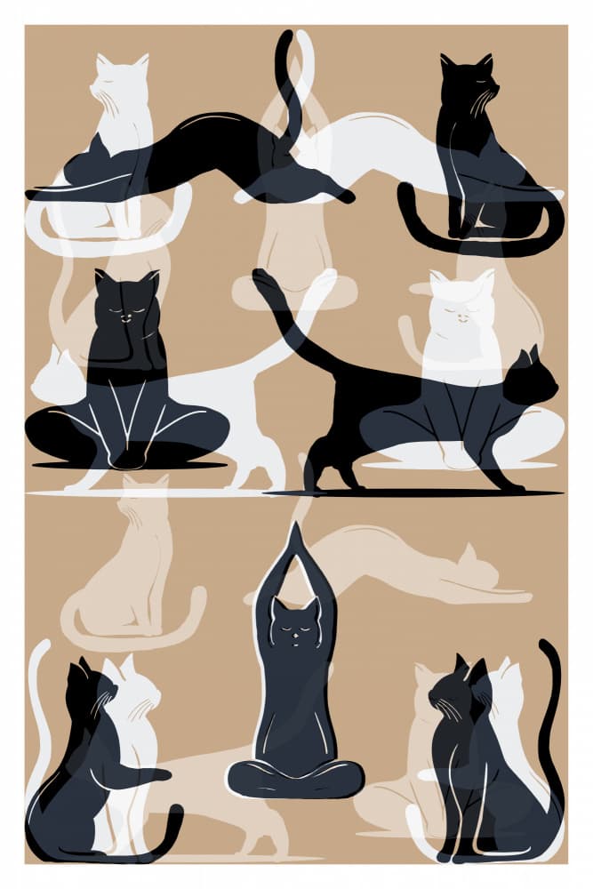 Zen Yoga Cats by casa cartissi — canvas wall art