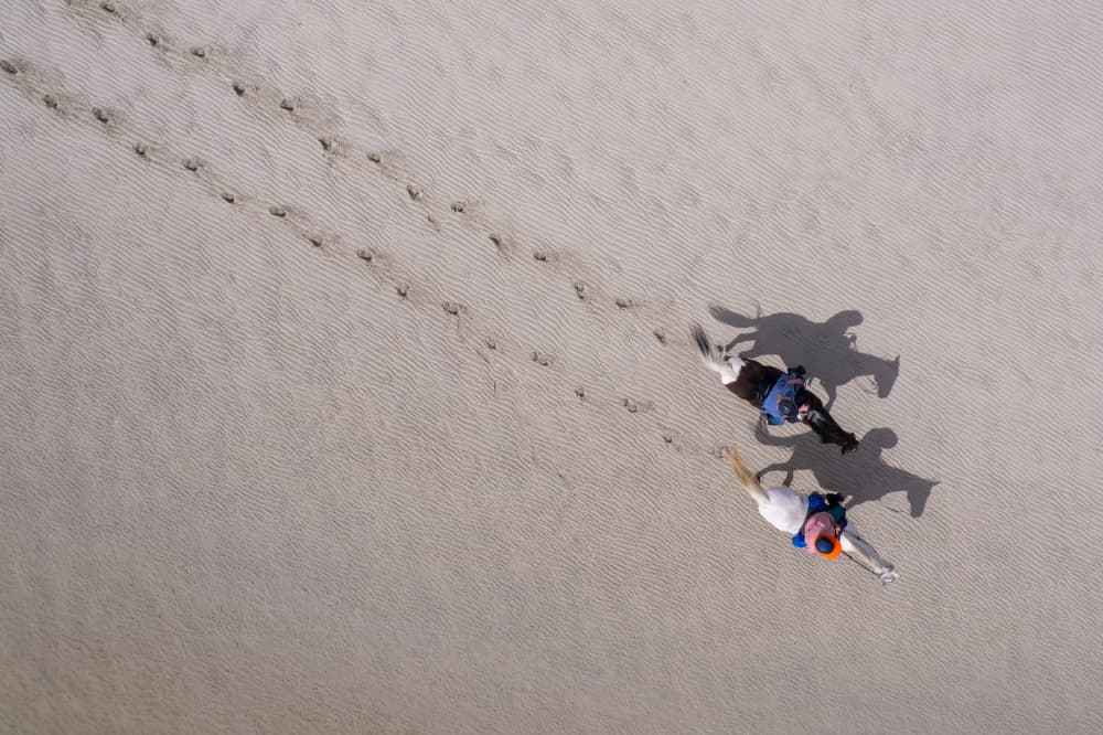 Desert Walking Shadows by Ed Esposito — canvas wall art