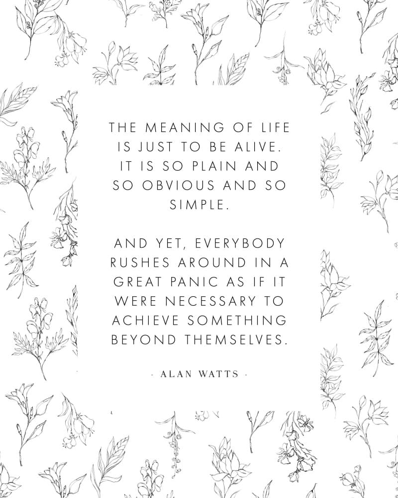 Simple Life Wisdom by KsanaKalpa — canvas wall art