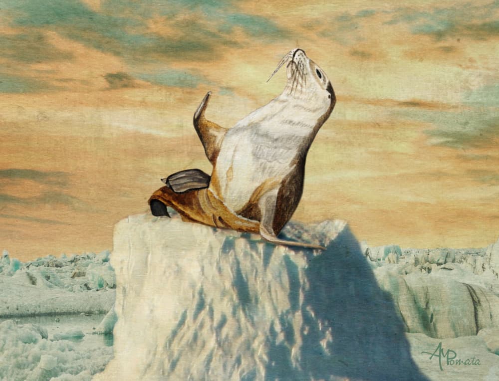 Greetings From the Arctic by Angeles M. Pomata — canvas wall art