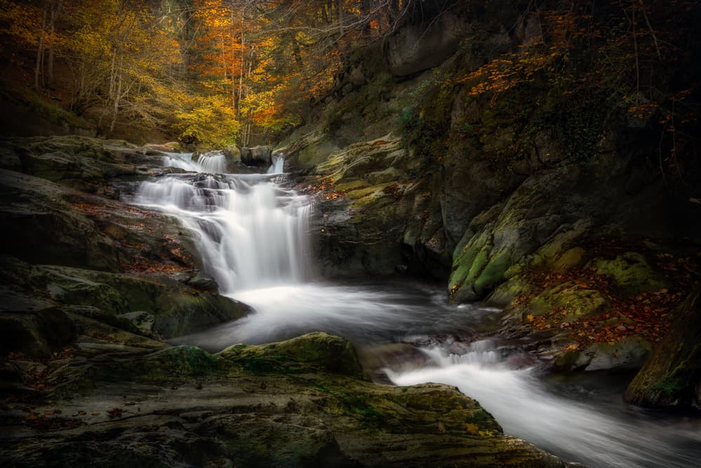 Peaceful Autumn Waterfall by Fran Osuna — canvas wall art