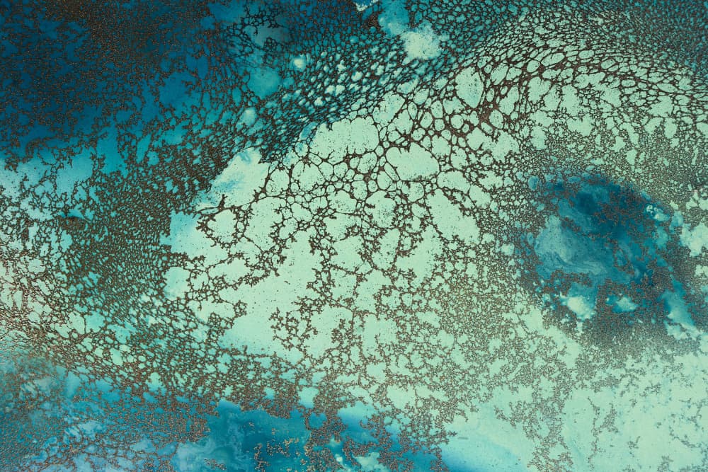 Intricate Riddle by Petra Meikle de Vlas — canvas wall art