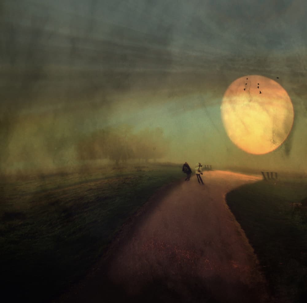Dreamy Moonlit Path by Robert Fabrowski — canvas wall art