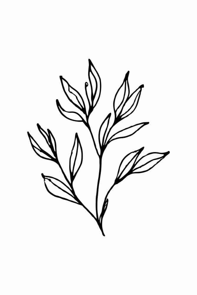 Branch by Treechild — canvas wall art