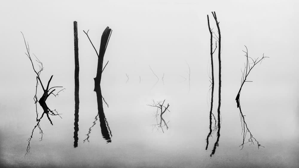 Stark Water Reflections by Shin Woo Ryu — canvas wall art