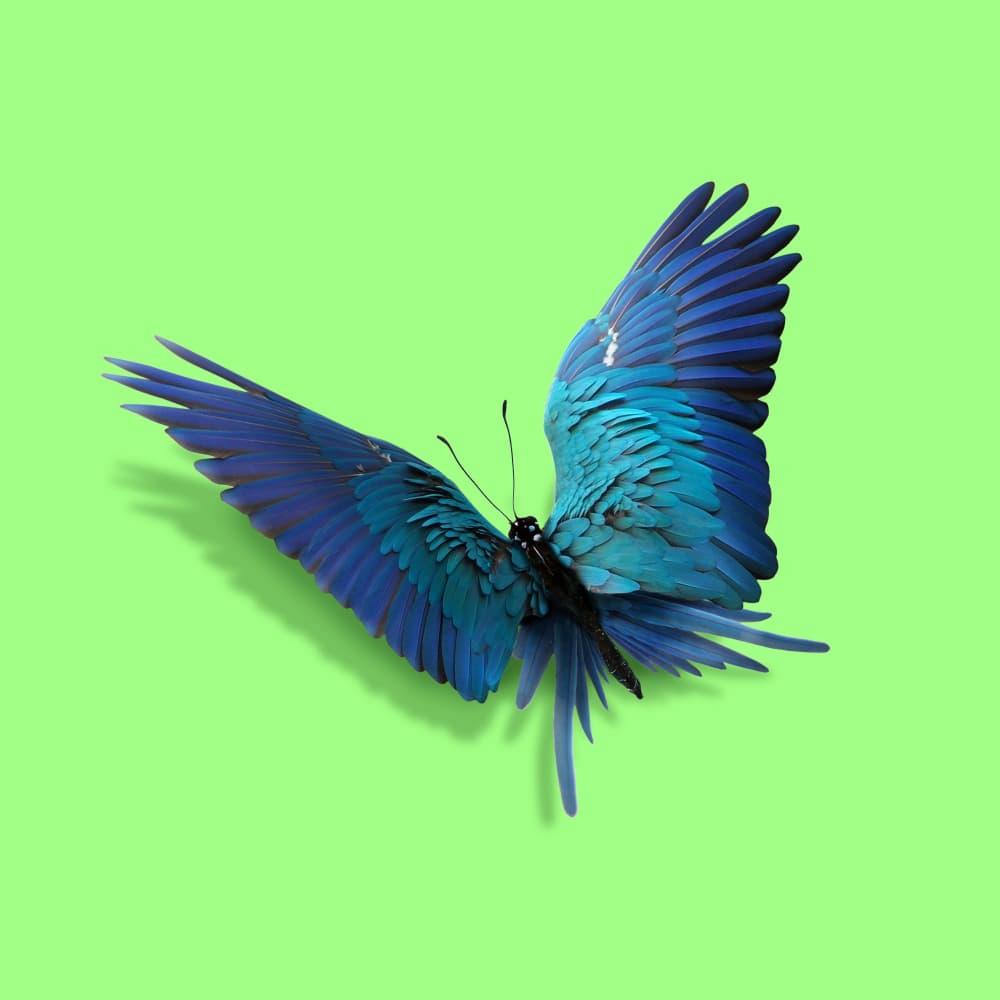 Vibrant Blue Butterfly by Artem Pozdniakov — canvas wall art