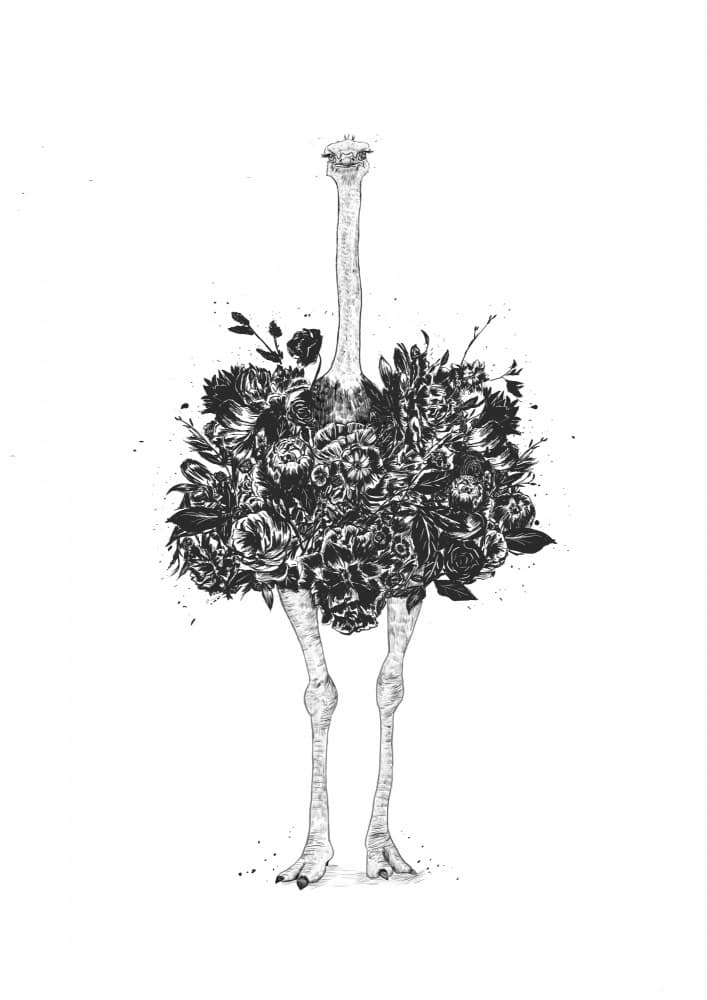 Elegant Floral Ostrich by Balazs Solti — canvas wall art