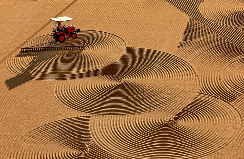 Tractor Field Patterns by Ayhan Senbayrak — canvas wall art