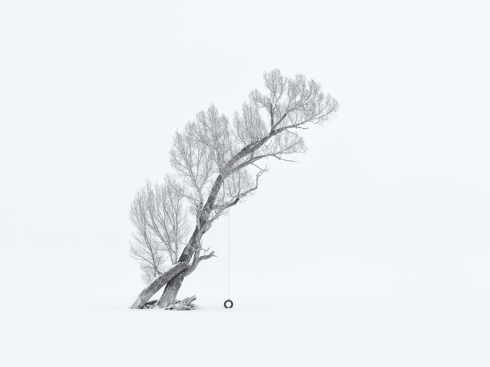 Bare Tree Swing by Mei Xu — canvas wall art